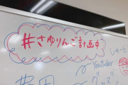 【乃木坂46】『さゆりんご軍団』19時から配信ｷﾀ━━━━━━(ﾟ∀ﾟ)━━━━━━ !!!!!