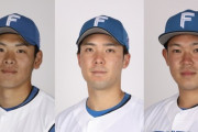 【公示】日ハム野村が特例2022で抹消　片岡が代替指名選手に