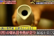 【悲報】マナー講師「マスク着用のマナーをお教えしましょう」