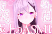 【Vtuber】ふざけたASMRなんてやるやつおらんやろ