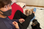 画像　「世に言うかわいいの渋滞」ロッテ藤原、愛犬との振り向き3ショットにファン歓喜