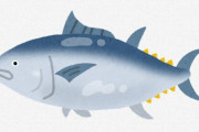 「マグロ好きな都市」ランキングが発表される！　１位は日本有数のマグロ水揚げ量を誇るあの地域