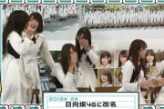 日向坂年表「2019年2月、日向坂46に改名」【ひなあい】【日向坂46】