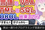 ホロライブの大人気Vtuber、プログラミングがほとんど出来るとエリートだと判明ｗｗｗｗｗｗｗｗｗｗｗｗｗｗ