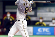 カープファン、阪神ドラ1佐藤輝明のHRに驚く「林晃汰と正隨に求められている打球」