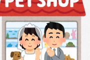 結婚のメリットとペット飼うメリットって本質は同じだよな