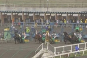 『ばんえい競馬』出走馬の顔蹴った疑いで騎手ら5人を書類送検