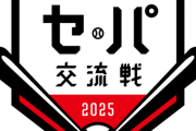 12球団交流戦の優勝回数www