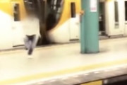 奈良市職員が駅のホームを飛び移る動画が世界へ発信されてしまう･･･海外の反応