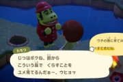 【悲報】どうぶつの森住民の人気格差、広がる