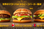 【美味そう】マックの新作買ってきたンゴｗｗｗｗｗｗｗｗｗ【画像】