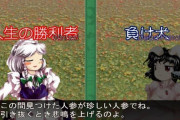 【東方】咲夜は本当に人間なのか