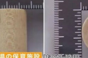 積み木をのどに詰まらせた1歳男児「今も意思疎通ができず」 園長ら8人を書類送検　容疑認める