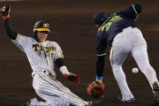 阪神ルーキー中野拓夢が30盗塁ならドラ６以下では史上初