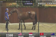 【2500万】農業高校の純粋無垢な生徒達が競走馬を育てた結果…