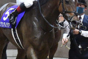 【上がり最速も仕上げを後悔】グランアレグリア　藤沢調教師「もう少し調教しておけばよかったかな」