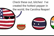 【アメリカ】世界一辛い唐辛子【ポーランドボール】