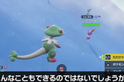 ポケモン図鑑コンプリートって過酷すぎるだろ