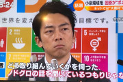 【悲報】小泉進次郎、滝川クリステルからのDV被害を告白
