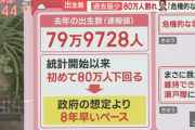 【岸倍】 日本政府「おかしい、うちの想定では出生数の80万人割れは2030年のはずだったんよ…」