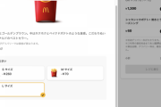 【朗報】倍てりやきマックバーガー、安すぎる