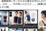 【悲報】フェミ「ちょっと待って。『小 学生　スクール水着』でググったら女児しか出てこない…怖」