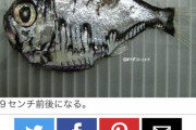 【微閲覧注意】とんでもない姿の魚が見つかる