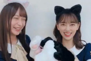 なんじゃこれｗｗｗ 鈴木絢音×堀未央奈の猫パンチがぐうかわなんだがｗｗｗｗｗ