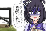【ウマ娘】ギム教育を受けたウマ娘は皆そう言うんだよ、フラッシュ…