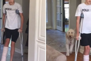 犬の共感力がすごい！松葉杖で歩く少年の後ろから同じように片足を引きずって歩く犬