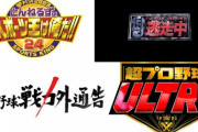 年末年始のプロ野球関連の番組ってどのぐらいある？