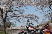 バイクとかいうもはや金持ちの乗り物