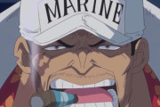 「ワンピース」の海軍本部元帥・サカズキ（赤犬）って、強すぎじゃね？？