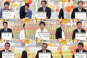 【自民党総裁選】各候補者「総裁になったらこれを実現します！」一覧画像きたああああ