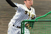 阪神・西、ボーアら相手にフリー打撃登板　開幕へ調整順調