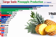 【動画】動くグラフで見る！世界のパイナップル生産 国別ランキング(1960 2019)
