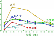 戦後日本「木材全く足りんわ！」 農林省「ふむ………それでは『スギ植林』をしてみてはどうだろう？」
