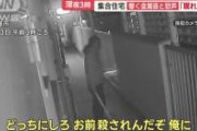 【緊急画像】近隣トラブルで逮捕された画家、ガチでやばい