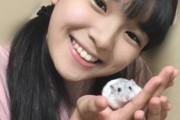 豫風瑠乃ちゃんハムスターを飼っていた！