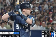 西武ネビン 打率.330 11本塁打 OPS1.127←こいつ