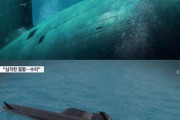 海中では沈み海上では傾く… 北朝鮮初の戦術核潜水艦、乾ドックで修理中