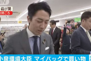 ニュース「小泉環境大臣がマイバッグで買い物をしています！」国民「どこがニュースなんだ…」