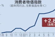 消費者物価8月2.8%上昇　30年11カ月ぶりの上昇率