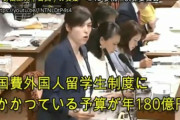奨学金の日本人学生への支給額月額2～4万円。中国留学生の給付月額14万円