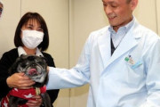 山口大学の研究グループが、犬の悪性黒色腫（メラノーマ）の抗体医薬を開発した。臨床試験では、既存の治療法では手の施しようがなくなった犬の腫瘍が完全に消失する