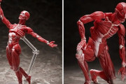 「人体模型」がアクションフィギュア「figma」に登場！ 「ウィトルウィウス的人体図」「ダビデ像」「ムンクの叫び」も再販