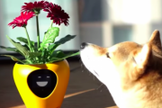 植物版バウリンガルみたいなものなのか？植物の気分をアニメーションで伝えるスマート植木鉢が販売決定