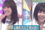 【日向坂46】あのコンビが定点カメラでやることwwww