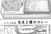 【咖喱】なんだよこの漫画ｗｗｗ【注意】