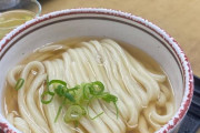 (´･ω･`)香川県にうどん食いに行って今帰り